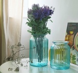 包邮简约现代欧式花瓶 玻璃 透明桌面水培花瓶摆件 插花装饰花器