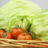 【广惠】 天津 蔬菜配送 新鲜蔬菜 生菜 同城送货 网上买菜 送货
