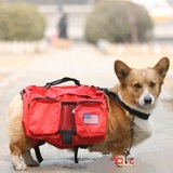 大狗宠物自背包 金毛 萨摩耶 大型犬 中型犬 用外出自背包