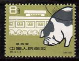 中国盖销特40养猪5-4
