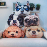 创意动物3D印花抱枕个性时尚狗猫汪星喵星人沙发居家坐垫学生靠垫