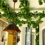 仿真葫芦藤蔓假水果蔬菜藤条葡萄叶子吊顶装饰花藤壁挂植物批发