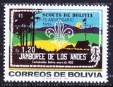 【临天集藏】玻利维亚邮票 1991年童子军 1全新
