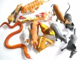 塑胶仿真十二生肖静态动物模型组合 动物玩具模型一套12个起批发
