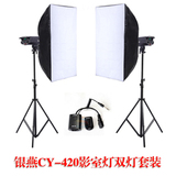 专业影室灯摄影棚套装 银燕420影室闪光灯套装 400W双灯套装