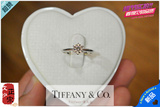 18K白金Tiffany蒂芙尼款六爪皇冠结婚戒指 45分钻石女戒钻戒