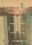 西湖名胜明信片 五六十年代早期图画无格明信片 —玉泉花港观鱼