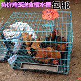 包邮宠物狗笼泰迪贵宾猫笼宠物笼子鸡笼子大号折叠养殖养鸡笼兔笼