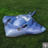 原装正品INTEX鳐鱼动物造型坐骑浮排 水上充气玩具 成人小孩泳圈