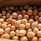 沂蒙山农村野散养土鸡蛋新鲜农家草鸡蛋自养纯天然柴鸡蛋30枚包邮