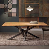 loft美式创意餐桌实木复古办公桌会议桌长方形铁艺洽谈桌工作台
