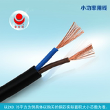 国标电线金龙羽电线电缆RVV2*6平方 2芯护套软电线线 【时价】