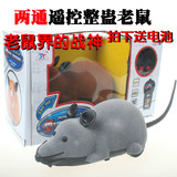 猫咪玩具老鼠 毛绒无线遥控仿真老鼠玩具 电动逗猫宠物玩具
