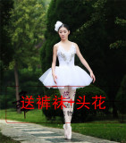2016新款芭蕾舞裙成人芭蕾纱裙天鹅湖芭蕾舞蹈蓬蓬裙芭蕾演出服