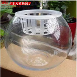透明玻璃花瓶养鱼水培植物水培玻璃圆球花瓶玻璃花盆含定植篮包邮