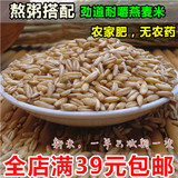 燕麦米 农家自产燕麦仁野麦 有机胚芽米 五谷杂粗粮250g 满39包邮