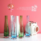 玻璃花瓶 彩色花瓶 台面透明小花瓶 宜家家居装饰品水培花瓶