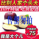 【大果子】甘肃天水粉甜花牛苹果新鲜蛇果水果10斤装胜烟台阿克苏