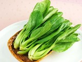 鸡毛菜种子/青梗菜种子高产白菜种子油菜种子山东寿光蔬菜种子20g