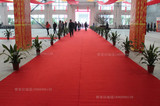 展览婚庆开业迎宾地毯 室外活动红地毯 展会 一次性舞台地毡