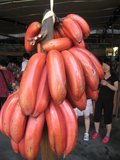 红皮香蕉美人蕉红新鲜水果特产红banana非进口水果纯天然5斤包邮