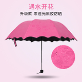 遇水开花韩国创意晴雨伞折叠两用女太阳伞遮阳伞三折防晒防紫外线