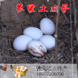 土鸡蛋农家散养 新鲜30枚山鸡蛋杂粮散养野鸡蛋月子蛋当天有机蛋