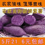 新鲜紫薯生紫心薯番薯山芋红薯地瓜农家种植紫薯5斤21.6元包邮