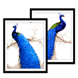 包邮diy数字油画风景动物超美花鸟填色画欧式客厅手绘画 蓝色孔雀
