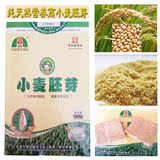 内蒙古河套牌 小麦胚芽 小麦胚芽片/粉 麦胚富含胚芽油 营养佳品
