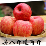 【现货】烟台栖霞红富士苹果霜降特产脆甜新鲜水果80果十斤包邮
