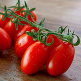 【台南亚蔬6号红圣女果】番茄种子 超耐热 广东全年可种植的番茄