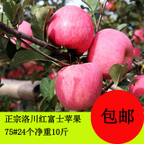 新鲜陕西洛川红富士有机农家水果10斤纯天然苹果比阿克苏冰糖心好