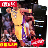 NBA篮球球星周边科比海报kobe高清画报写真壁纸壁画墙贴8张包邮