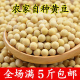 黄豆250g 沂蒙山区农家自种小笨黄豆 新货大豆豆浆专用 非转基因