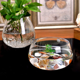 创意鱼缸高档玻璃花瓶圆形水培金鱼乌龟缸透明器皿 包邮