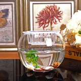 特价包邮 宜家现代 透明玻璃鱼缸圆球花瓶 金鱼缸 水培花器 批发
