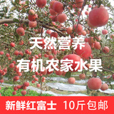 山东烟台新鲜红富士苹果10斤包邮农家有机孕妇宝宝新鲜水果十斤
