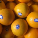 澳洲新奇士橙晚熟脐橙进口橙子新鲜水果10个约2100克包邮
