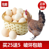 【30枚】正宗苏北特产农家散养有机营养土鸡蛋草鸡蛋天然新鲜包邮