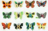 塑胶仿真蝴蝶模型昆虫动物玩具儿童早教认知益智彩色蝴蝶装饰道具