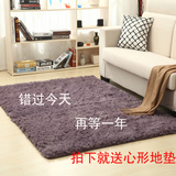 【天天特价】特价丝毛加厚地毯客厅地毯卧室床边毯满铺地毯榻榻米