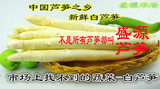 盛源芦笋曹县白芦笋农家有机生态新鲜无药特产蔬菜1斤满5包邮。