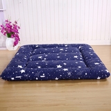 【天天特价】日式加厚10cm打地铺床垫睡垫双人榻榻米床褥子可折叠