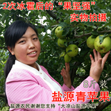 特价大凉山盐源特产金冠青苹果苹果农家纯天然新鲜水果8斤包邮