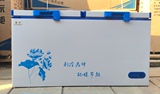 498升大型冷柜冻肉卧式商用冰柜冷柜大冰柜冷冻冷藏箱速冻冰柜