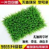 仿真草坪尤加利植物背景墙装饰塑料仿真假绿植墙阳台人造草皮地毯