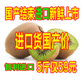 【悠果维】智利奇异果绿果 猕猴桃 新鲜水果 5斤包邮大约26个