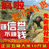 特价包邮15年东北黑龙江贡米五常正宗农家稻花香有机新大米5公斤