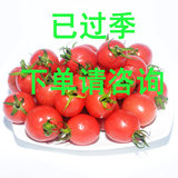 顺丰包邮海南三亚新鲜水果特产千禧圣女果小西红柿小番茄5斤装